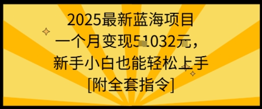 2025最新蓝海项目一个月变现1w+新手小白也能轻松上手【附全套指令】-青年网赚