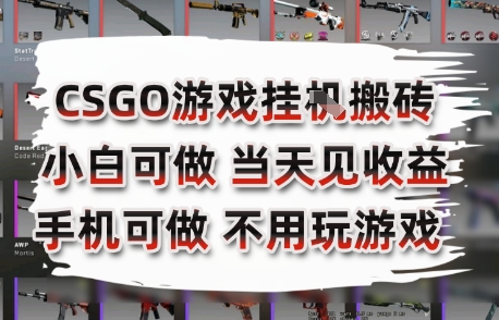 CSGO游戏挂G搬砖，小白纯手机即可操作，不用电脑打游戏，日入3张+，副业网创项目【揭秘】-青年网赚