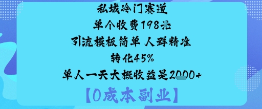 私域冷门赛道:单个收费198米引流模板简单人群精准转化45%单人一天大概收益是1k+-青年网赚