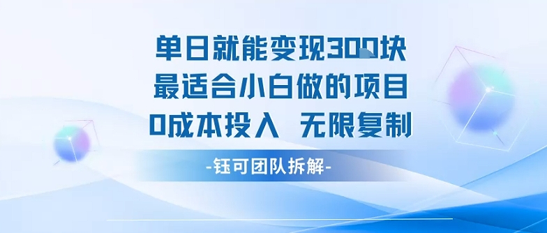 单日就能变现3张最适合小白做的项目0成本投入 无限复制-青年网赚