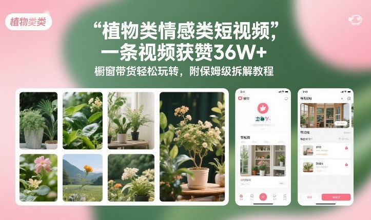植物类情感类短视频，一条视频获赞36W+，橱窗带货轻松玩转，附保姆级拆解教程-青年网赚