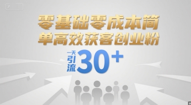 零基础零成本简单高效获客创业粉，一天引流30+-青年网赚