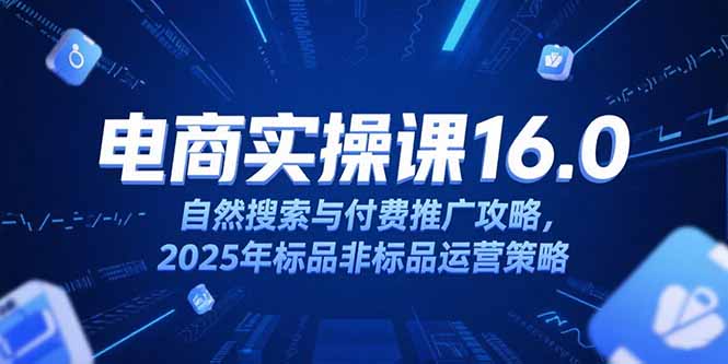 淘宝电商运营课16.0，自然搜索与付费推广攻略，2025年标品非标品运营策略-青年网赚