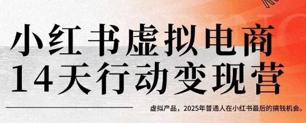 小红书虚拟电商14天变现训练营，虚拟产品，2025年普通人在小红书最后的搞钱机会-青年网赚