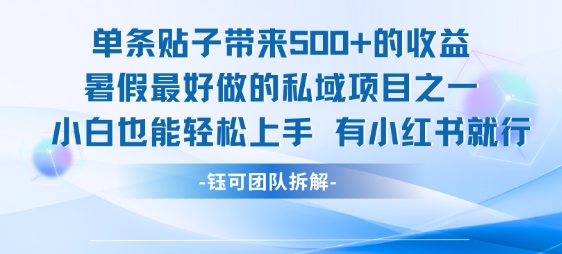 单条贴子带来5张的收益，暑假最好做的私域项目之一，小白也能轻松上手，有小红书就行-青年网赚
