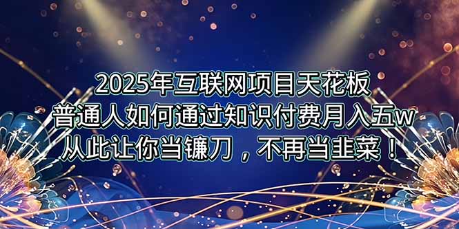 2025年互联网项目天花板，普通人如何通过卖项目实现逆风翻盘，月入5W＋！-青年网赚