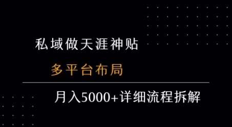 私域做天涯神贴 多平台布局 月入5k+详细流程拆解-青年网赚