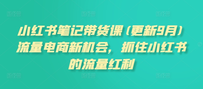 小红书笔记带货课(更新25年6月)流量电商新机会，抓住小红书的流量红利-青年网赚