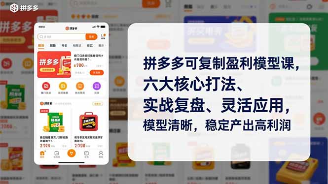 拼多多可复制盈利模型课，六大核心打法、实战复盘、灵活应用，模型清晰，稳定产出高利润-青年网赚
