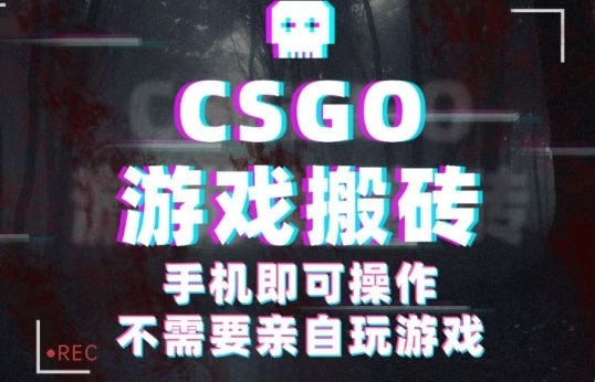 CSGO游戏挂G捡漏，单日扫货5张+，年底小高峰上车可吃肉，手机即可操作，兼职副业创业网创【揭秘】-青年网赚