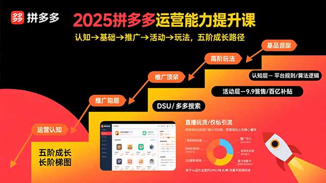 2025拼多多运营能力提升课：认知→基础→推广→活动→玩法，五阶成长路径-青年网赚