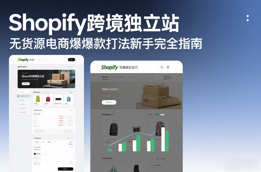 Shopify跨境独立站无货源电商爆款打法新手完全指南-青年网赚
