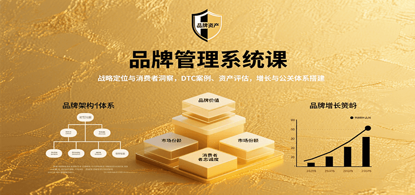 品牌管理系统课：战略定位与消费者洞察，DTC案例、资产评估，增长与公关体系搭建-青年网赚