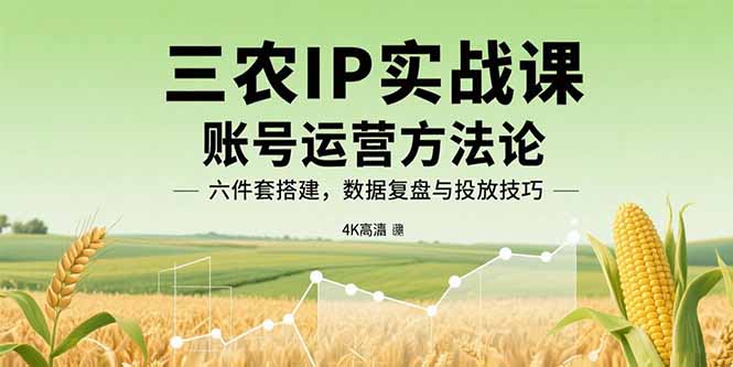 三农IP实战课：账号运营方法论，六件套搭建，数据复盘与投放技巧-青年网赚