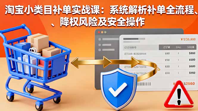 淘宝小类目补单实战课：系统解析补单全流程、降权风险及安全操作-青年网赚