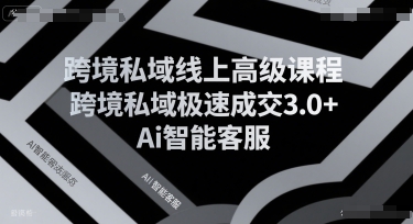 跨境私域线上高级课程，跨境私域极速成交3.0+Ai智能客服-青年网赚