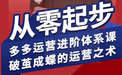拼多多运营进阶系统课，从零起步，多多运营进阶体系课，破茧成蝶的运营之术-青年网赚