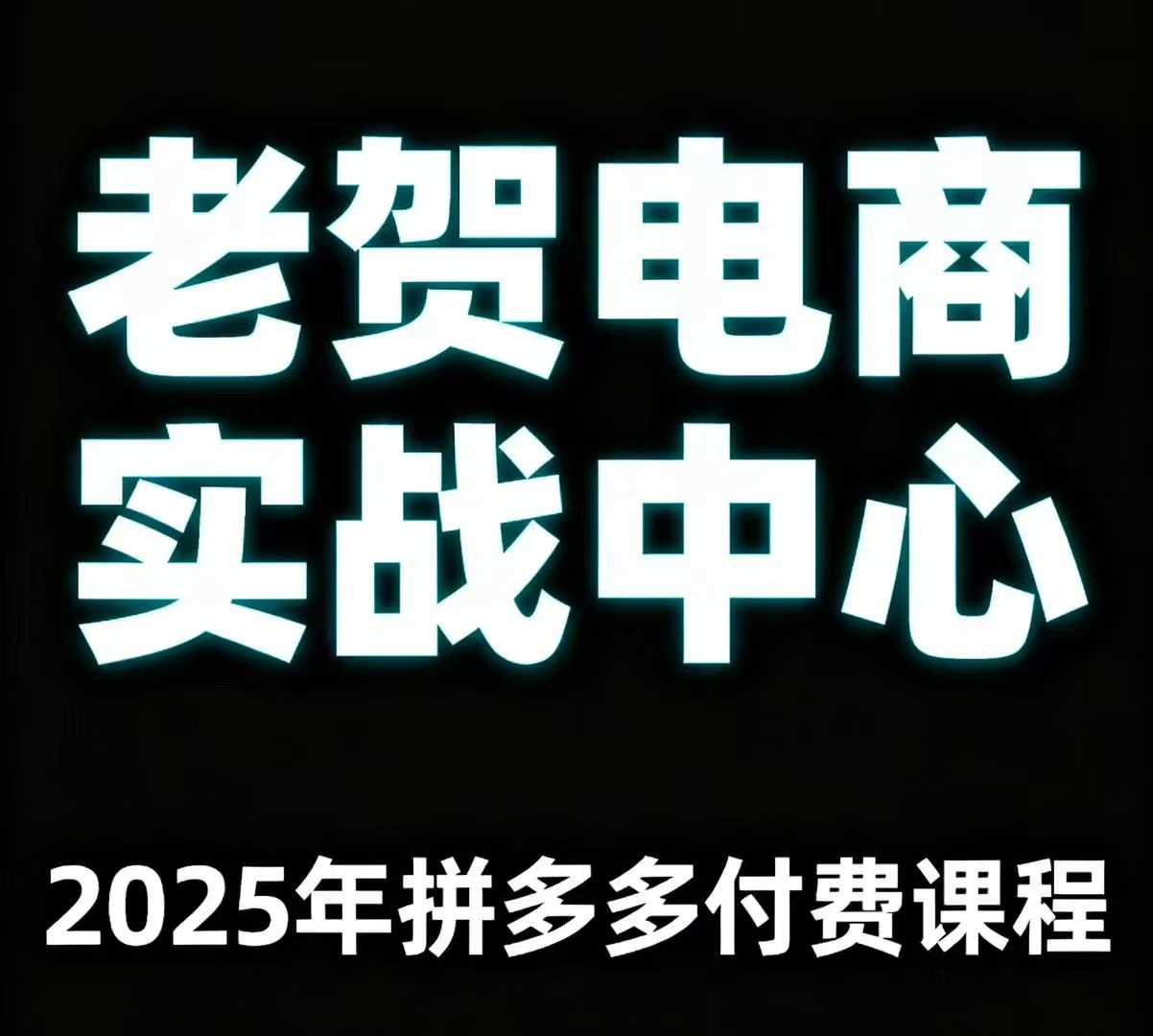 老贺电商2025年拼多多付费课程，用通俗易懂的方法告诉你多多怎么玩-青年网赚