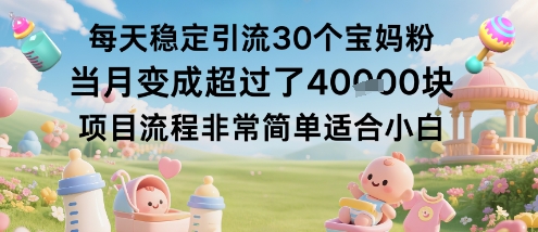 每天稳定引流30个宝妈粉当月变成超过了1W+项目流程非常简单适合小白-青年网赚