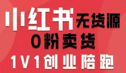 小红书无货源0粉电商课，开店准备、选品策略、笔记撰写、视频剪辑、数据分析、账号打造、资料文档-青年网赚