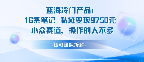 蓝海项目：16条笔记私域变现9750米小众赛道操作的人不多-青年网赚