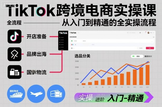 TikTok跨境电商实操课，从入门到精通的全实操流程-青年网赚