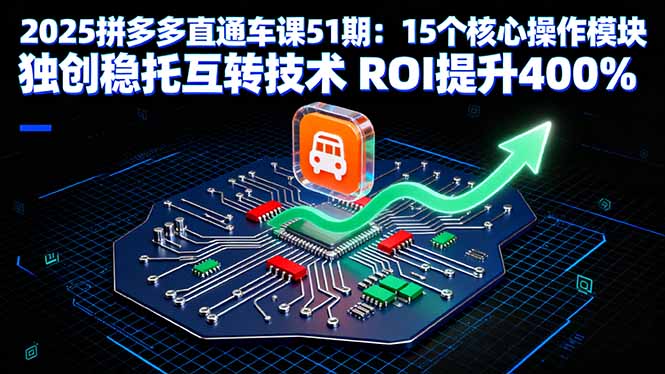 2025拼多多直通车课51期：15个核心操作模块 独创稳托互转技术 ROI提升400%-青年网赚