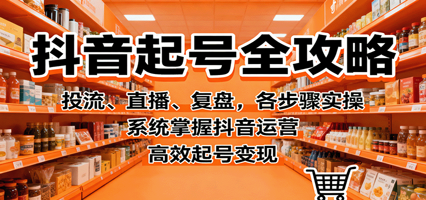 抖音起号全攻略，投流、直播、复盘，各步骤实操，系统掌握抖音运营，高效起号变现-青年网赚