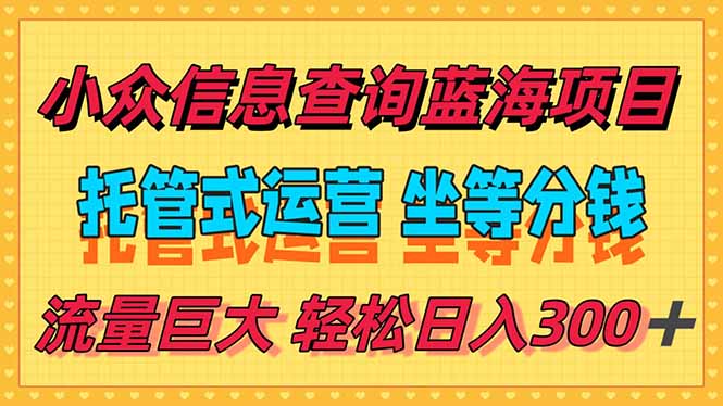 稳定日入300＋，小众信息查询蓝海项目，全程懒人式托管，解放你的时间-青年网赚