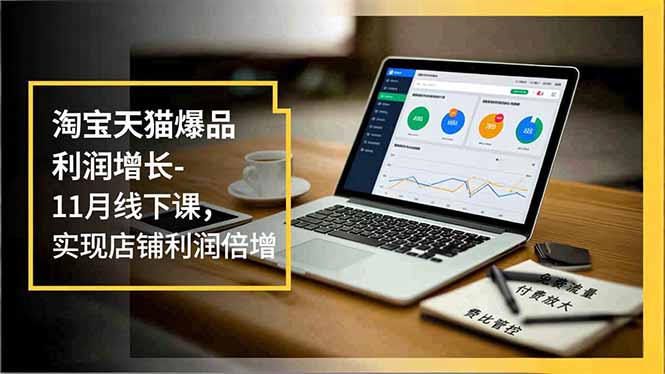淘宝天猫爆品利润增长-11月线下课，免费流量、付费放大、费比管控，实现店铺利润倍增-青年网赚