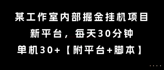 某工作室内部掘金挂G项目，新平台，每天30分钟，单机30+【揭秘】-青年网赚
