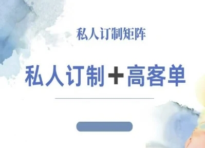 小红书自媒体咨询师IP教程，私人定制+高客单-青年网赚