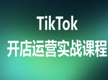 TikTok开店运营实战课程，TK跨境电商实操全流程-青年网赚