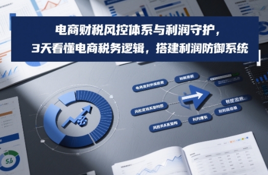 电商财税风控体系与利润守护，3天看懂电商税务逻辑，搭建利润防御系统-青年网赚