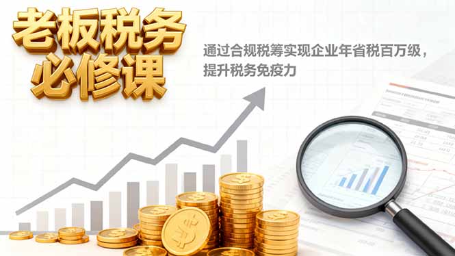老板税务必修课,通过合规税筹实现企业年省税百万级,提升税务免疫力-青年网赚