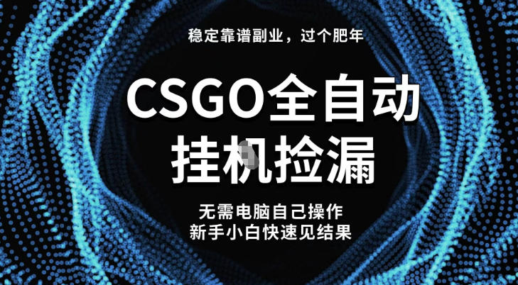 【稳定副业】全球最热门游戏CSGO全自动捡漏，最新玩法，新手小白日入5张+【揭秘】-青年网赚