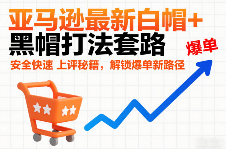 亚马逊最新白帽+黑帽打法套路，安全快速上评秘籍，解锁爆单新路径-青年网赚