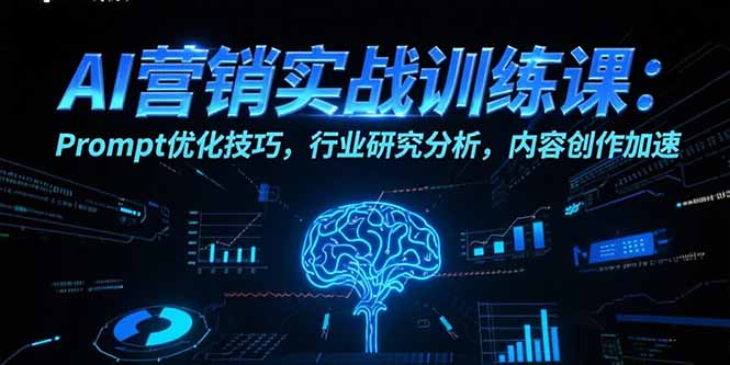 AI营销实战训练课：Prompt优化技巧，行业研究分析，内容创作加速-青年网赚
