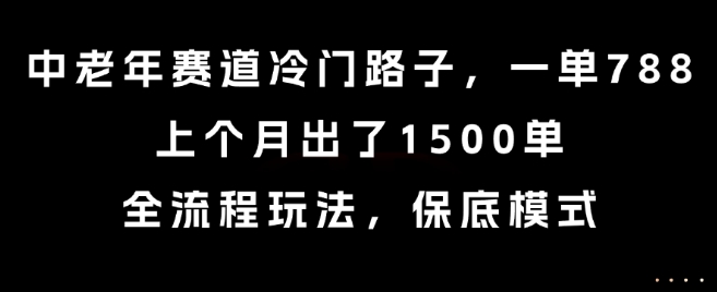 中老年赛道冷门路子，一单788，上个月出了1500单，全流程玩法，保底模式【揭秘】-青年网赚