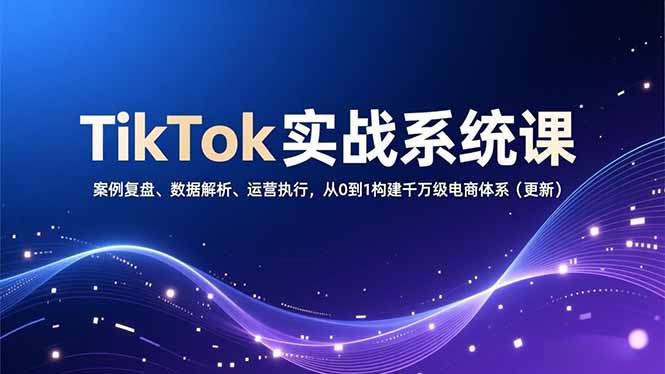 TikTok实战系统课，案例复盘、数据解析、运营执行，从0到1构建千万级电商体系(更新-青年网赚