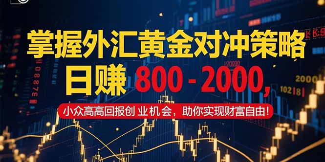 掌握外汇黄金对冲策略，日赚 800 – 2000，小众高回报创业机会，助你实…-青年网赚