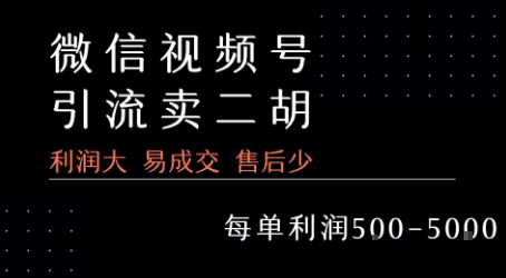 视频号卖二胡教程，利润大 易成交 售后少，一单利润5张+-青年网赚