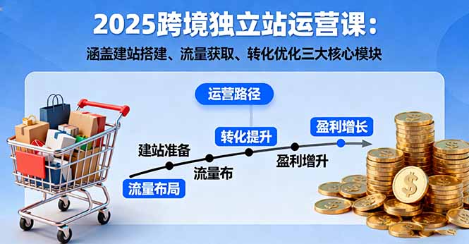 2025跨境独立站运营课：涵盖建站搭建、流量获取、转化优化三大核心模块-青年网赚