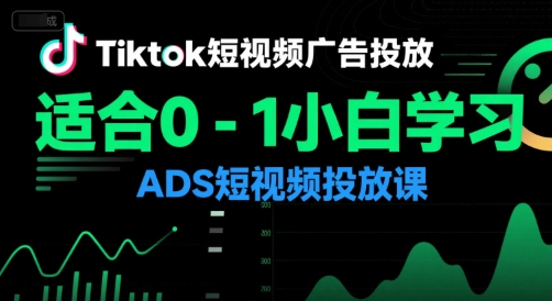 Tiktok短视频广告投放，适合0-1小白学习ADS短视频投放课-青年网赚