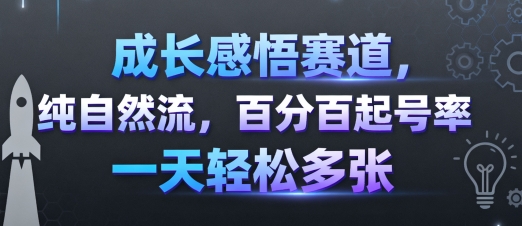 成长感悟赛道，纯自然流，百分百起号率 一天轻松多张-青年网赚