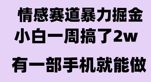情感暴力掘金项目，新人操作一周挣了2W，长期稳定小白可做【揭秘】-青年网赚
