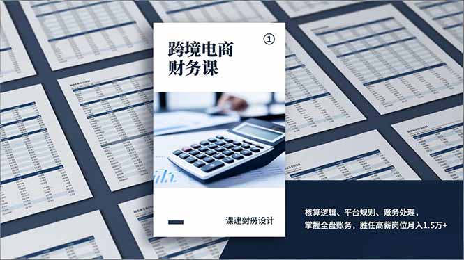 跨境电商财务课，核算逻辑、平台规则、账务处理，掌握全盘账务，胜任高薪岗位月入1.5万+-青年网赚