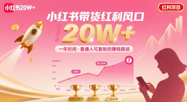 一年时间靠小红书带货项目年入20w+，最不能错的大红利项目-青年网赚