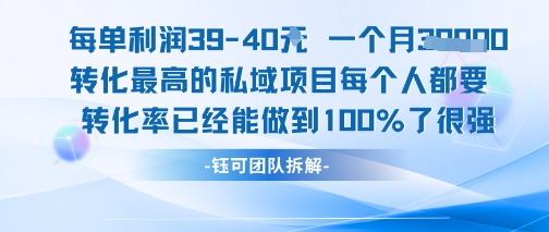 每单利润40一个月7k+转化最高的私域项目，每个人都要的产品转化率已经能做到100%-青年网赚
