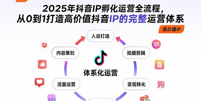 2025年抖音IP孵化运营全流程，从0到1打造高价值抖音IP的完整运营体系-青年网赚
